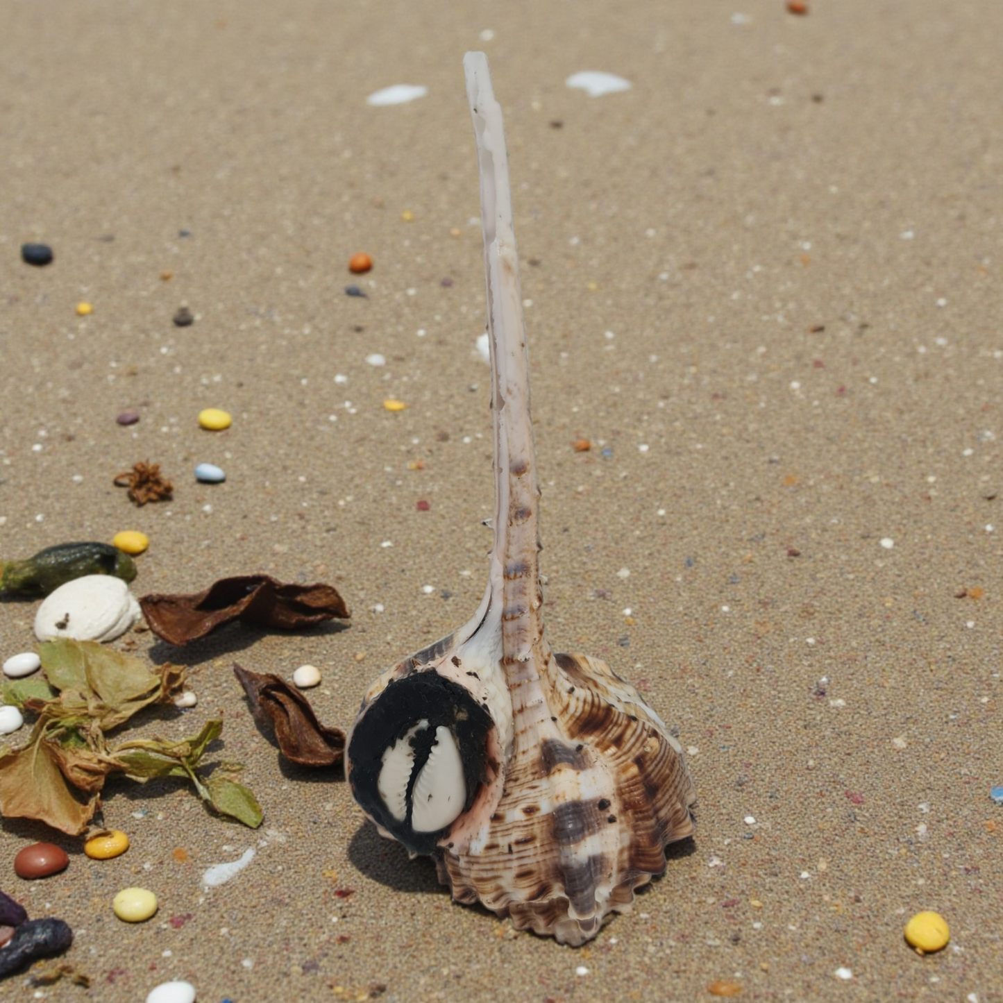 Amuleto Africano proteccion y suerte en los negocios  , secretos del vodoun Fon , arte tradicional africano