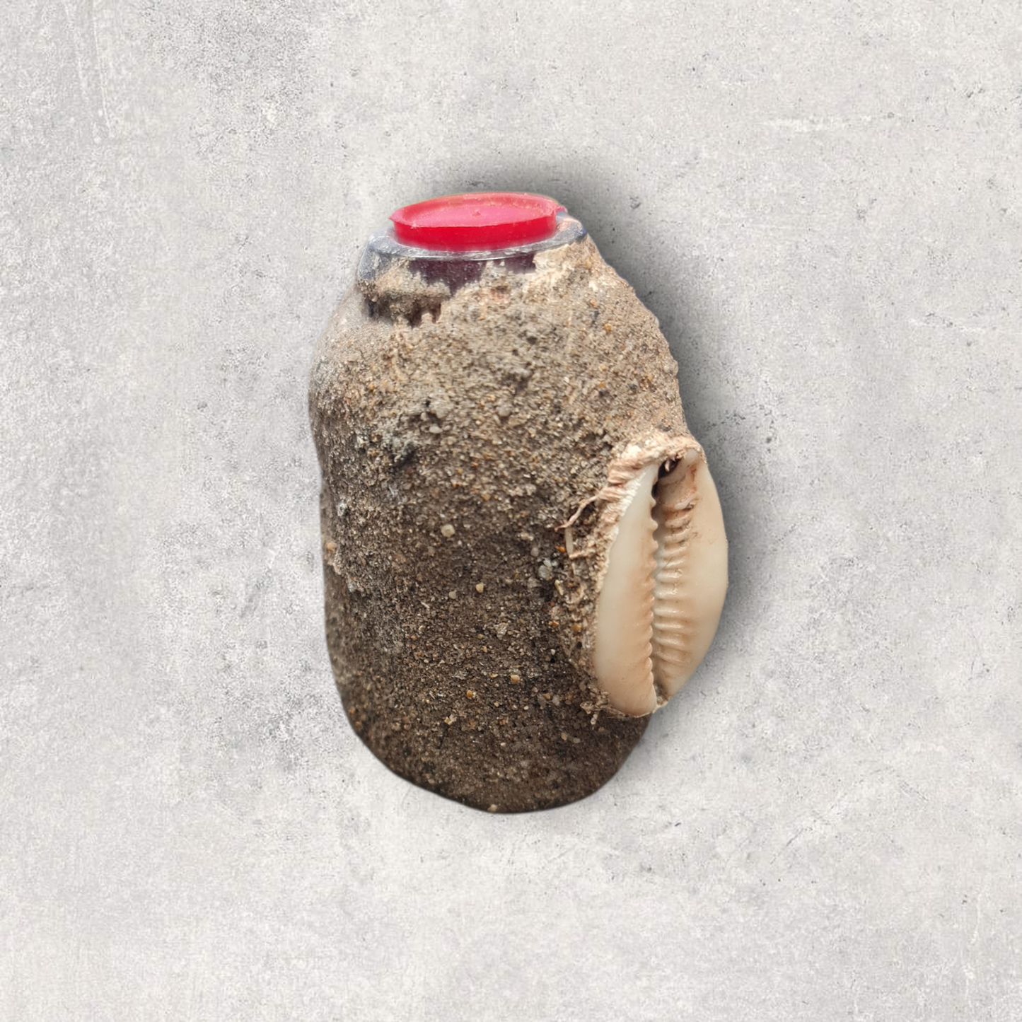 Polvos Africanos para la salud , secretos del vodoun Fon