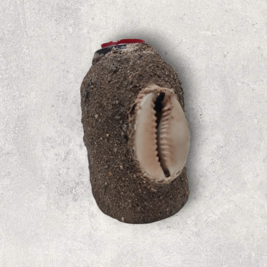 Polvos Africanos para la salud , secretos del vodoun Fon