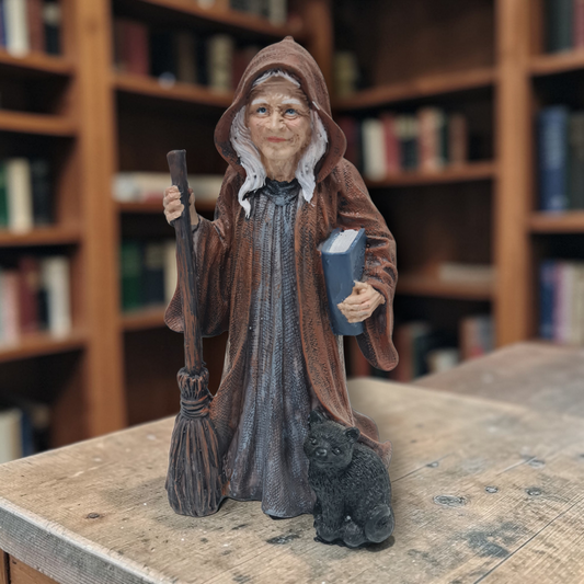 Bruja Wicca con escoba, gato y libro