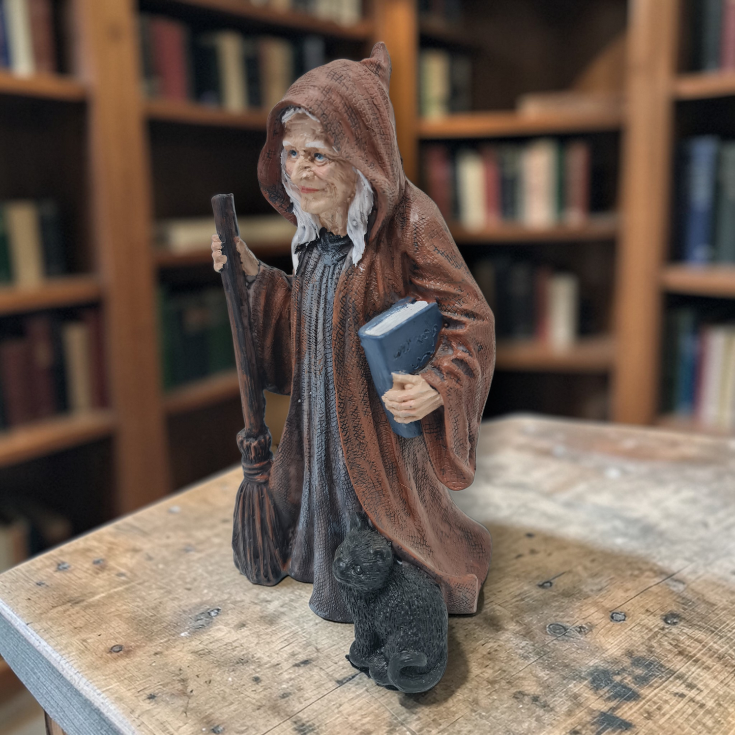 Bruja Wicca con escoba, gato y libro