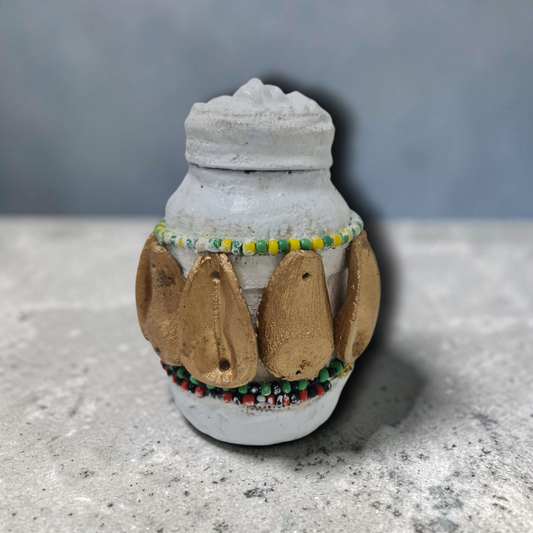 Bote semillas de la suerte , secretos del vodoun Fon