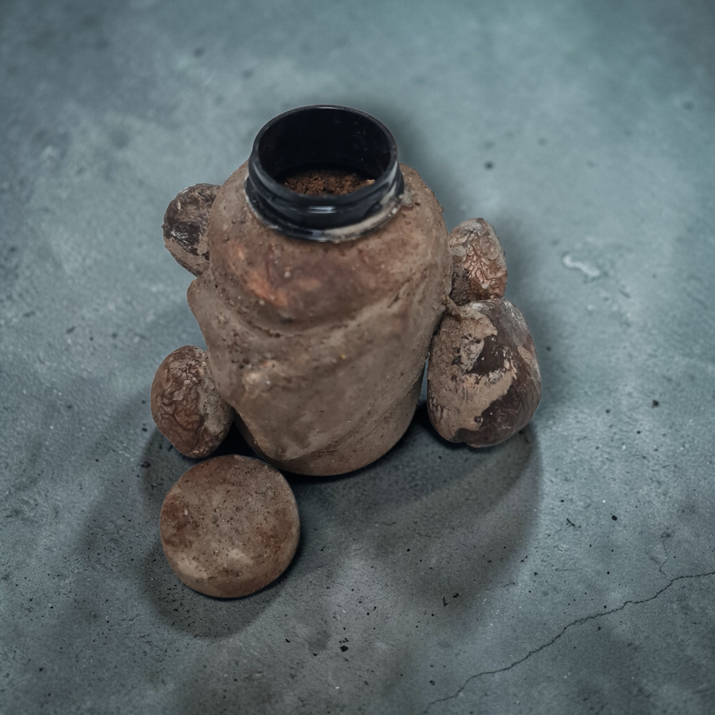 Bote semillas PROTECCION BRUJERIA , secretos del vodoun Fon