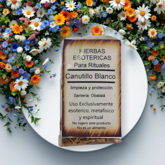 Hierbas Canutillo blanco
