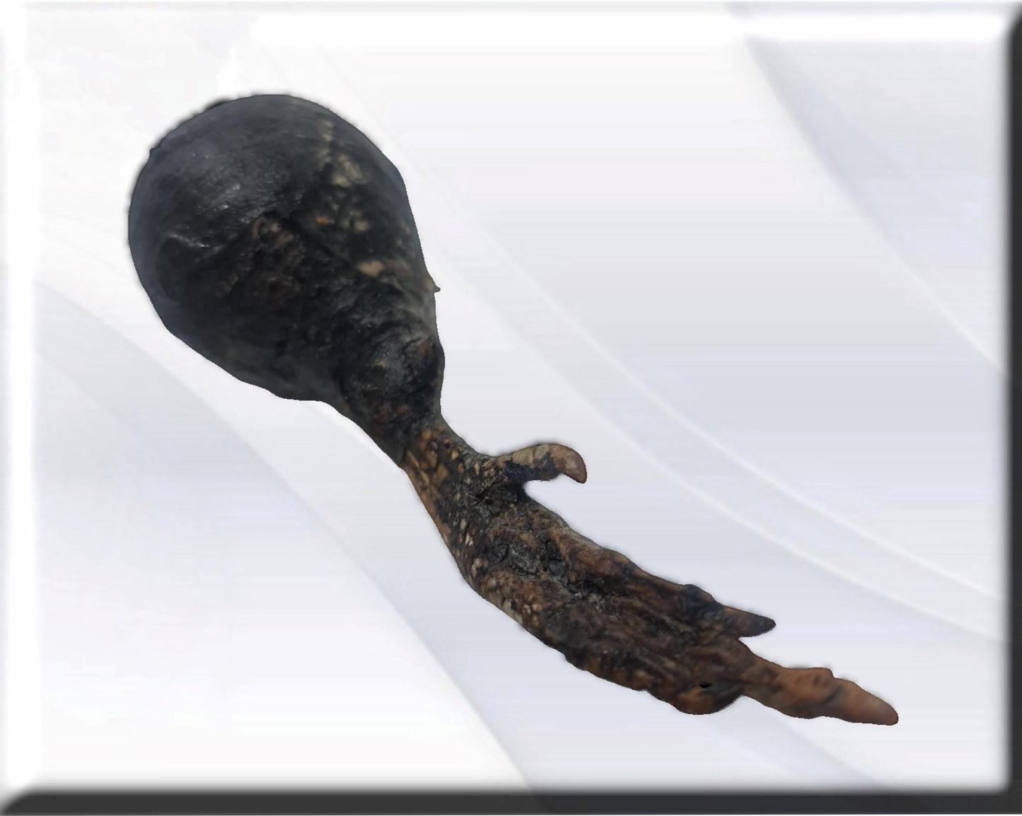 African protection against weapons , secrets of African vodun