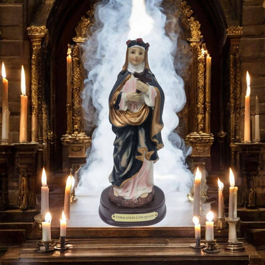Virgen Inmaculada concepcion , virgenes y santos catolicos
