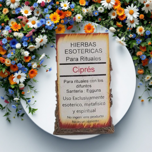 Cyprés