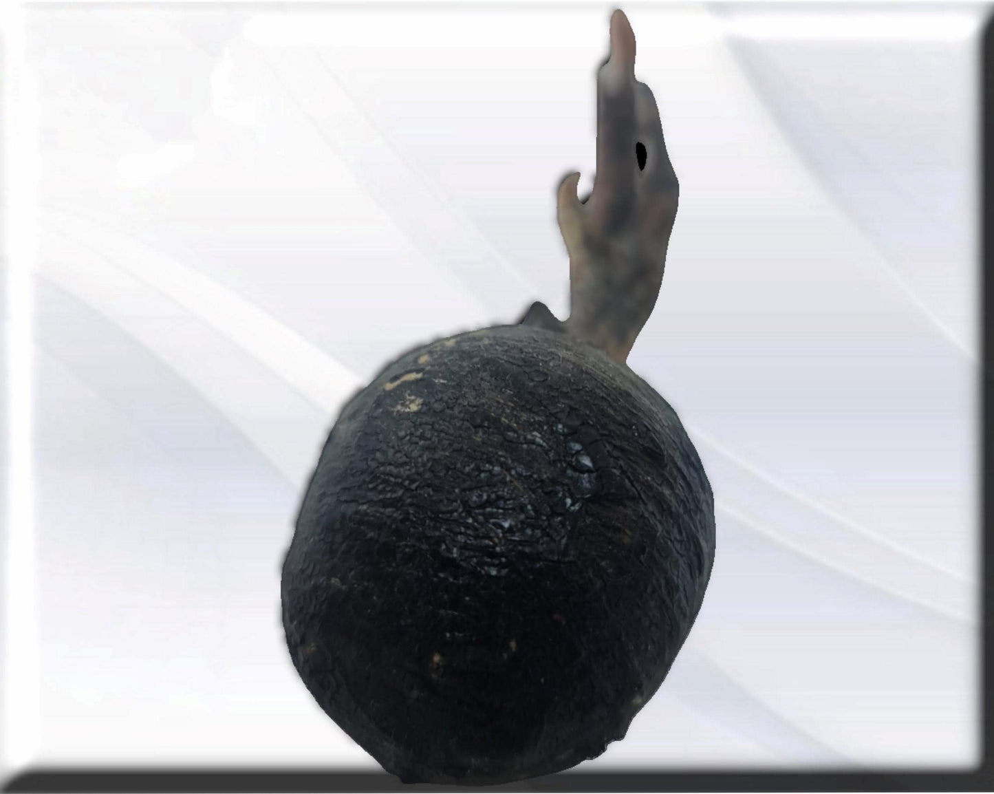 African protection against weapons , secrets of African vodun
