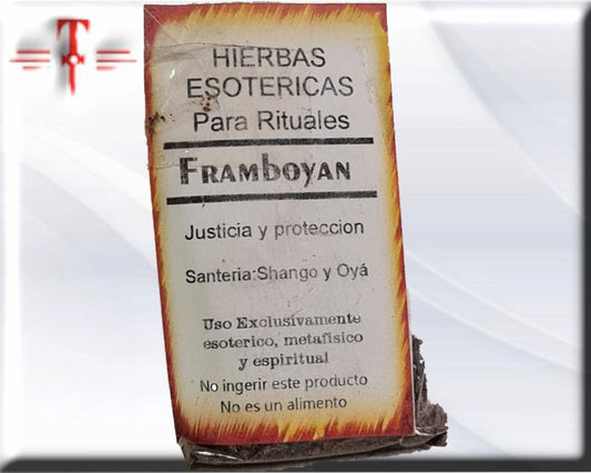 Framboyan