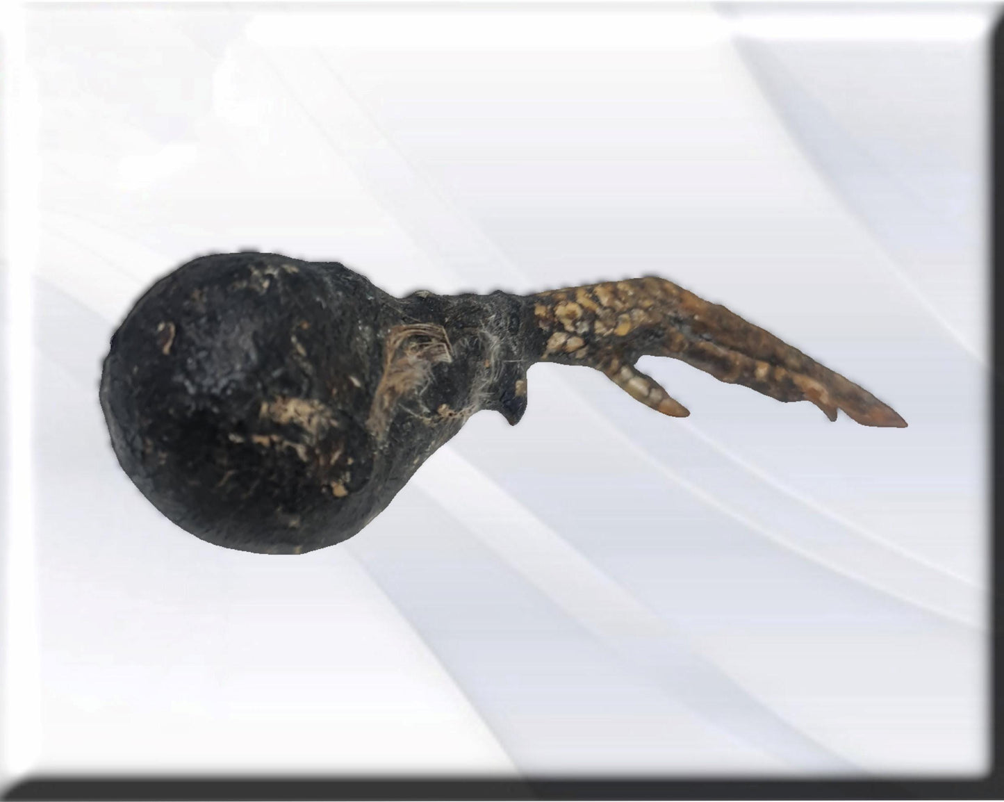 African protection against weapons , secrets of African vodun