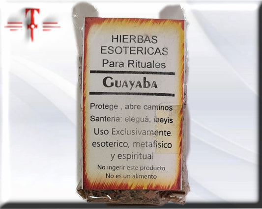 Guayabo