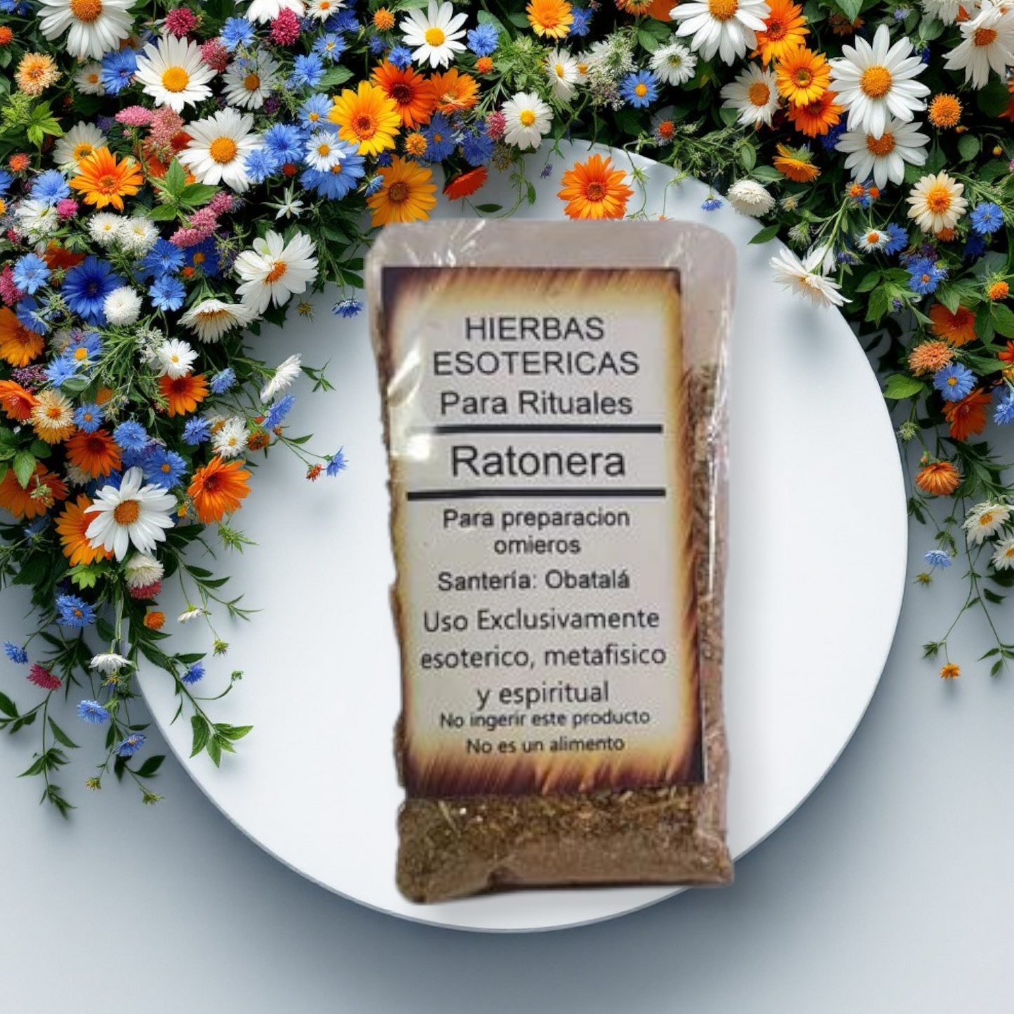 Hierba Ratonera