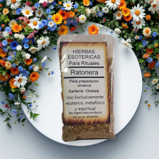 Hierba Ratonera