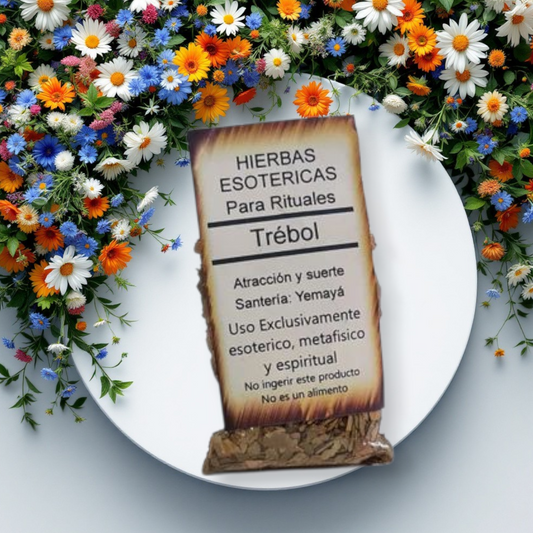 Hierba Trébol
