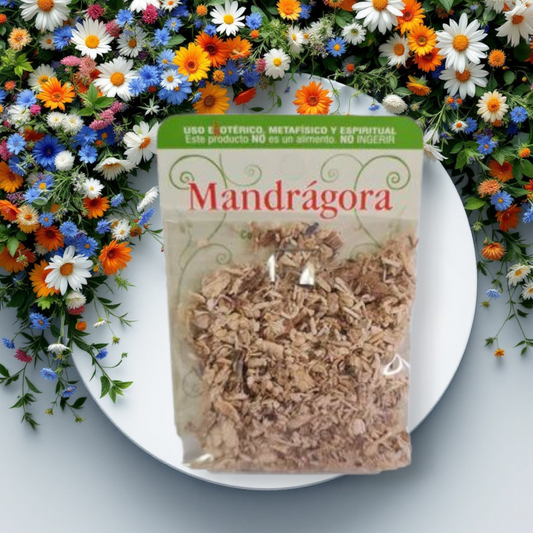Raiz Mandragora