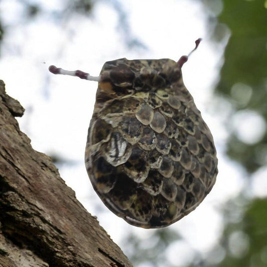 Amuleto serpiente Africano proteccion contra magia negra y vudú , Temlo de la pitón , secretos del vodun , arte tradicional africano