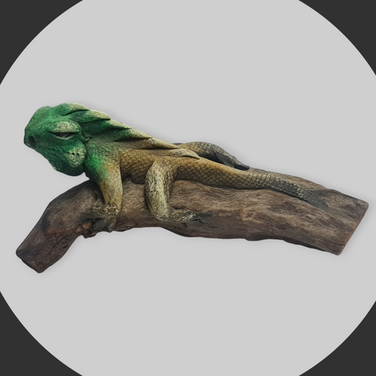 Iguana en tronco