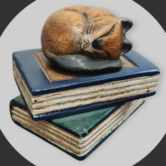 gato con libro