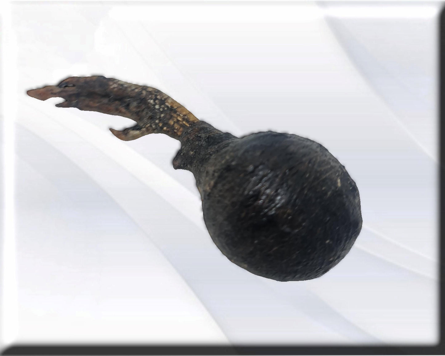 African protection against weapons , secrets of African vodun