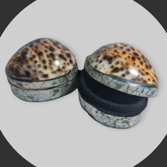 Cajita joyero caracol leopardo