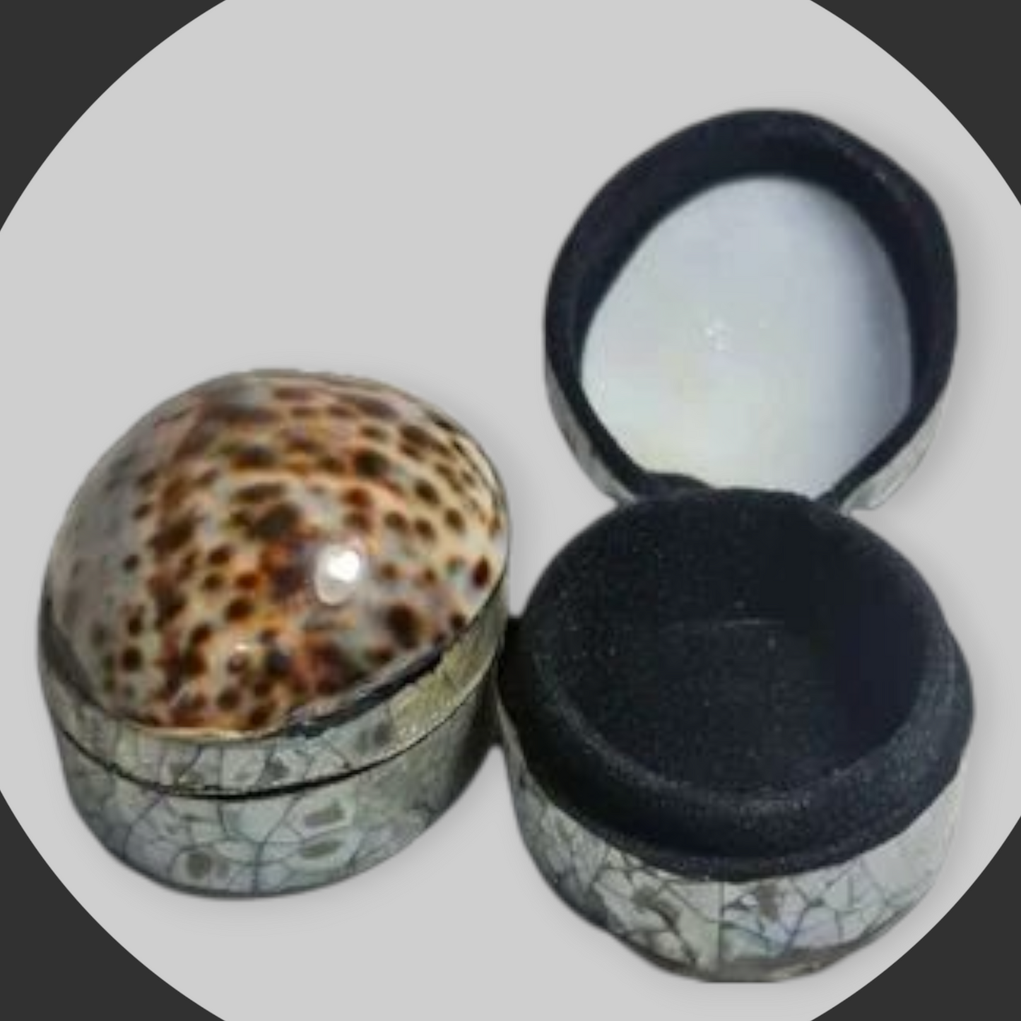 Cajita joyero caracol leopardo