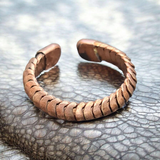 Anillo de protección y dinero , Vodun Adjakpa Koliko , espíritu del cocodrilo, Vodoun Fon de Benín