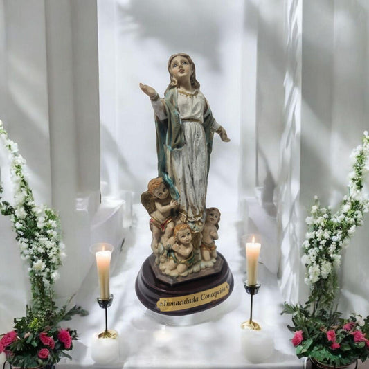 Virgen Inmaculada concepcion , virgenes y santos catolicos