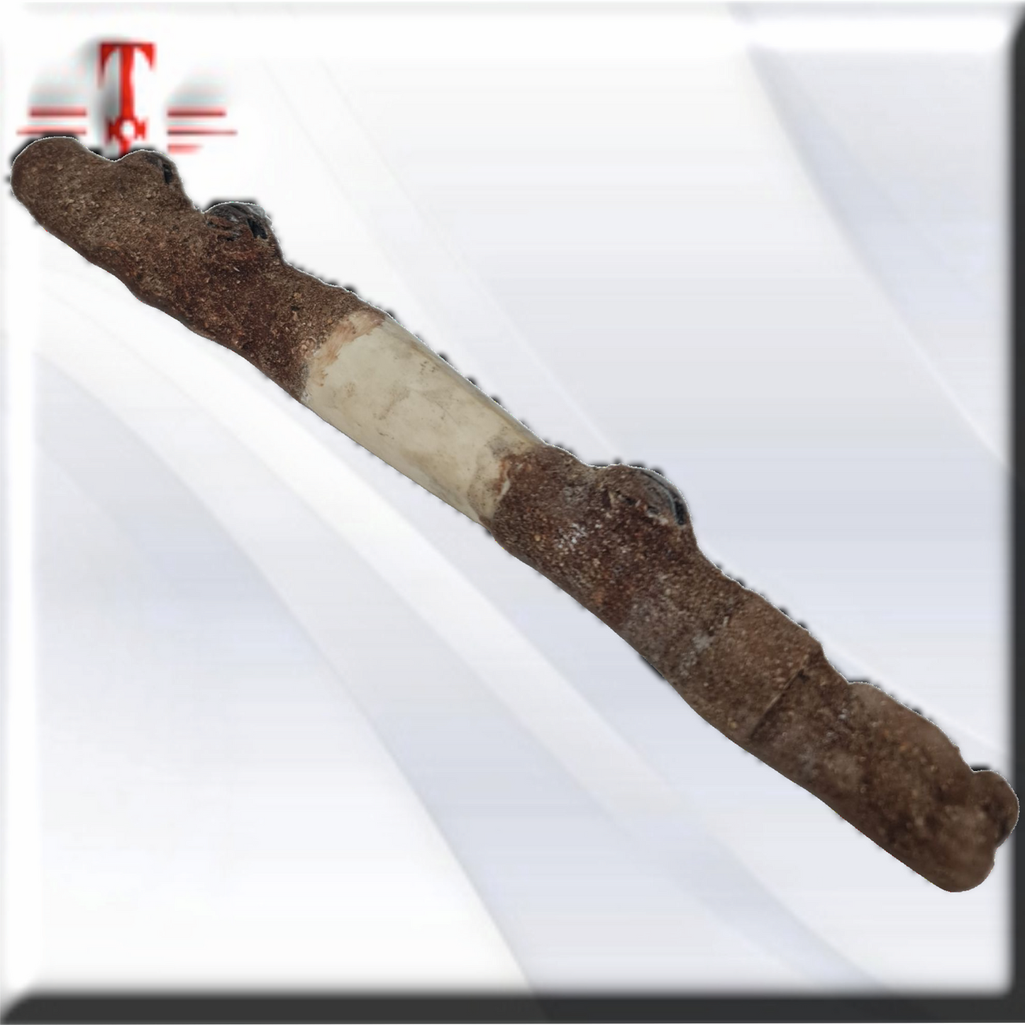 Cetro proteccion  Hueso, amuleto africano , secretos del Vodun