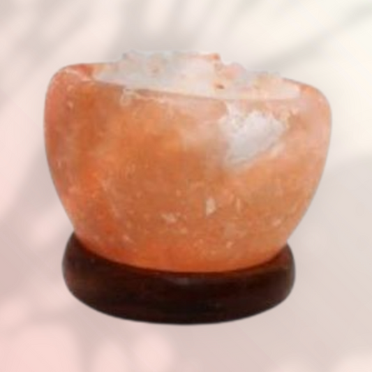 Cuenco de Sal del Himalaya