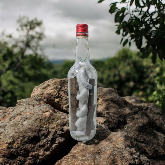 Botella Mágica Vodun Dan , evolucion economica , negocios, fortuna , secretos del vodun