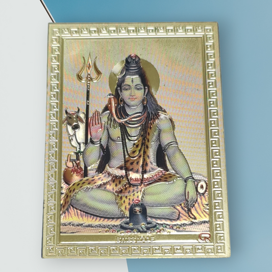 Placa magnetica de metal shiva