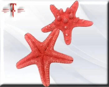 Estrella de mar Roja