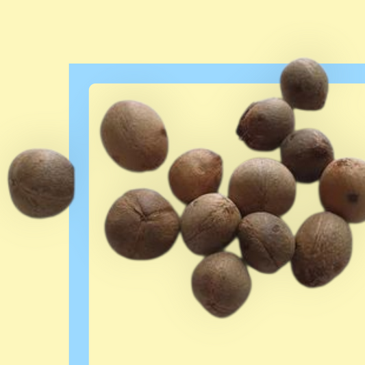 semilla de coco