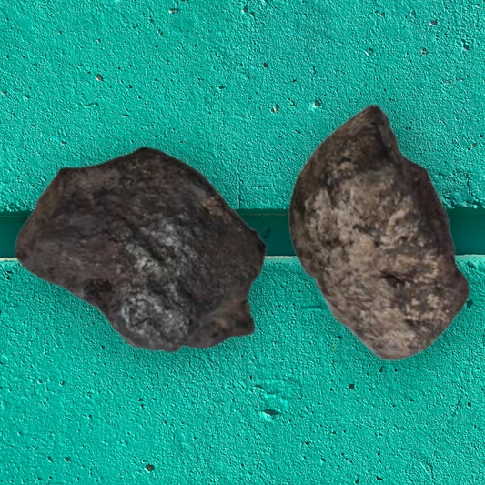 Piedra Iman Vivo