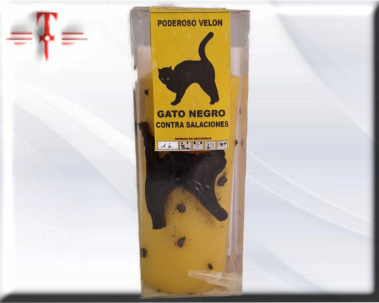 Gato negro
