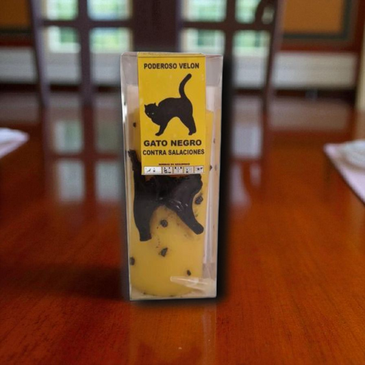 Gato negro