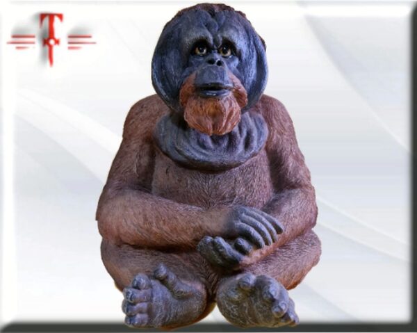 Orangutan  resina alta calidad. Peso 1.529gr Medidas: 28*22*22cm material: resina