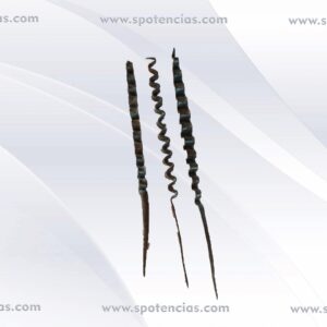 edan sobi curvas ( serpiente de hierro ) complemento que se utiliza en el vudu para reforzar Ngangas