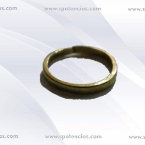 Anillo Agé (espíritu de la selva)