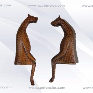 Pareja jirafas sentadas