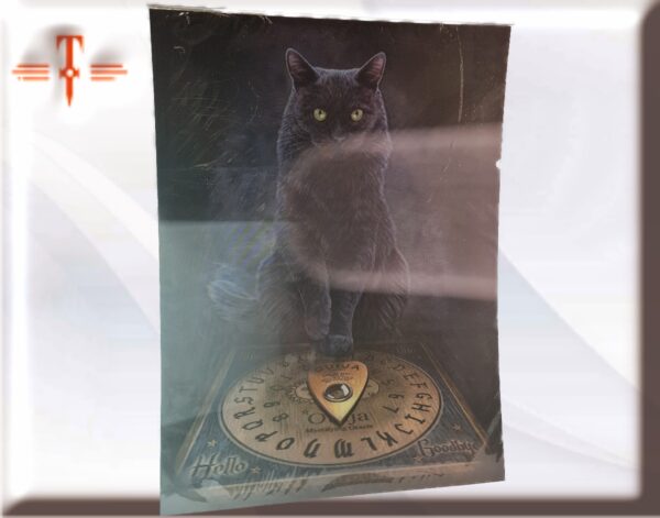 lámina 3d gato con escoba Los primeros en darse cuenta de sus poderes fueron los egipcios