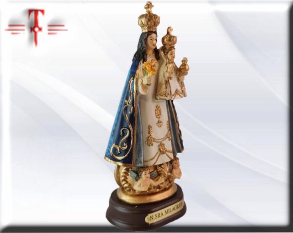 Virgen de los Milagros La leyenda sigue atribuyendo singulares prodigios y milagros a la imagen de la Virgen y curaciones de toda índole