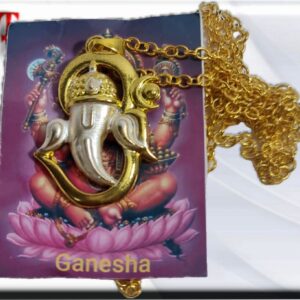 Colgante Ganesha tamaño: 25 mm material : metal Ganesha es un dios del panteón hindú con cuerpo humano y cabeza de elefante, hijo de los dioses Shiva y Parvati. Es una de las deidades más conocidas y adoradas en la India, por ser removedor de obstáculos, patrono de las artes, de las ciencias y señor de la abundancia.