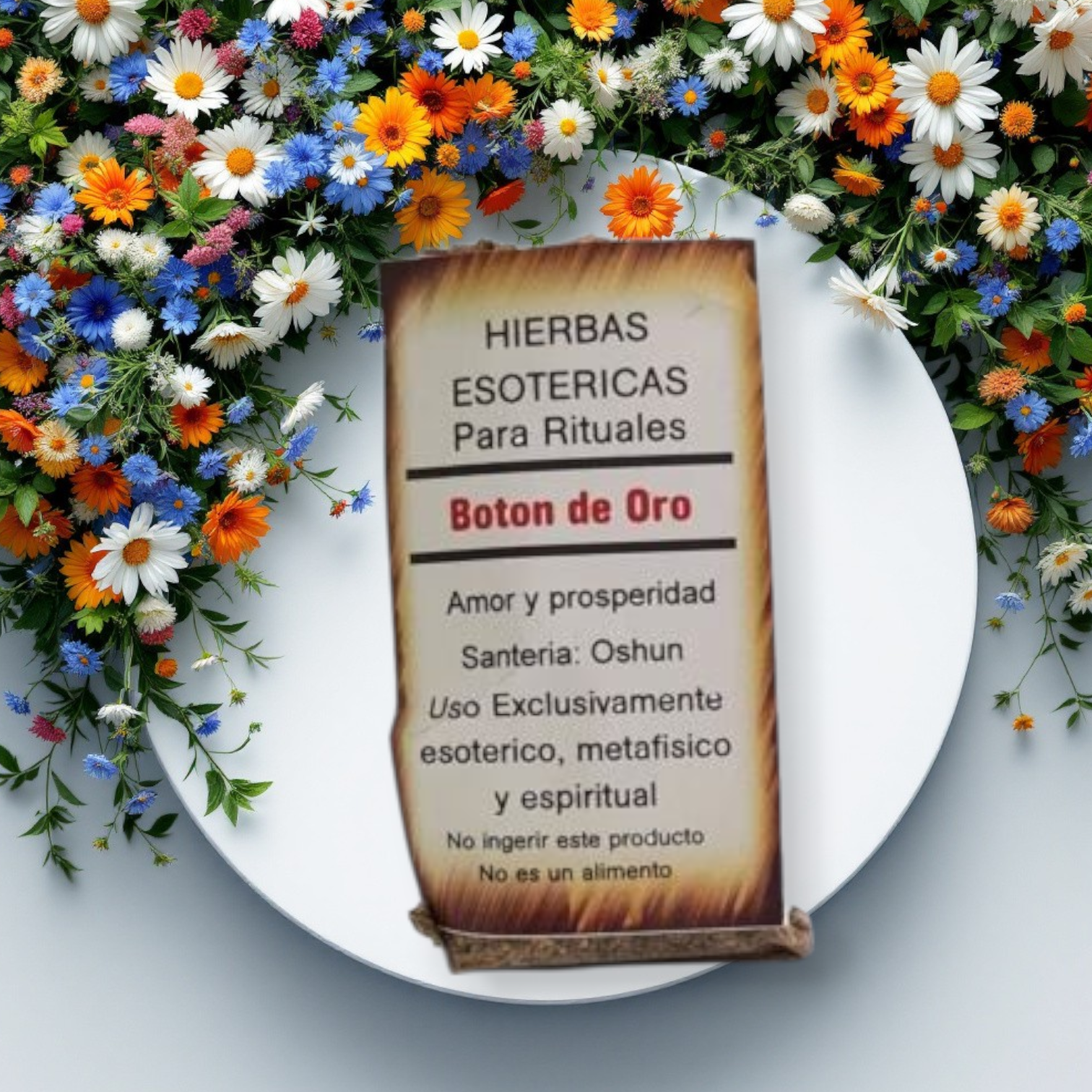 Hierbas botón de oro