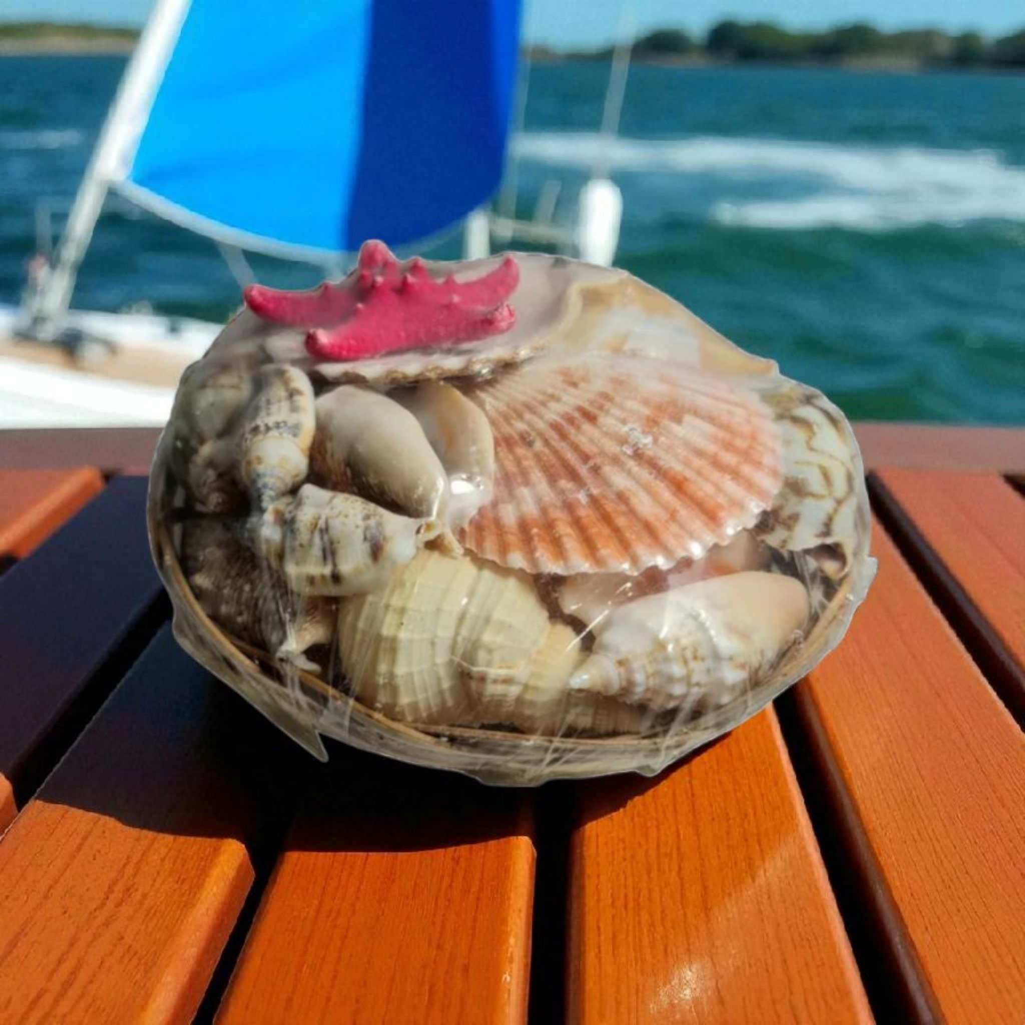 Surtido de conchas 250gr