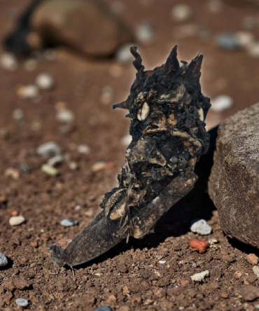 Olugbohun , amuleto africano , secretos del Vodun