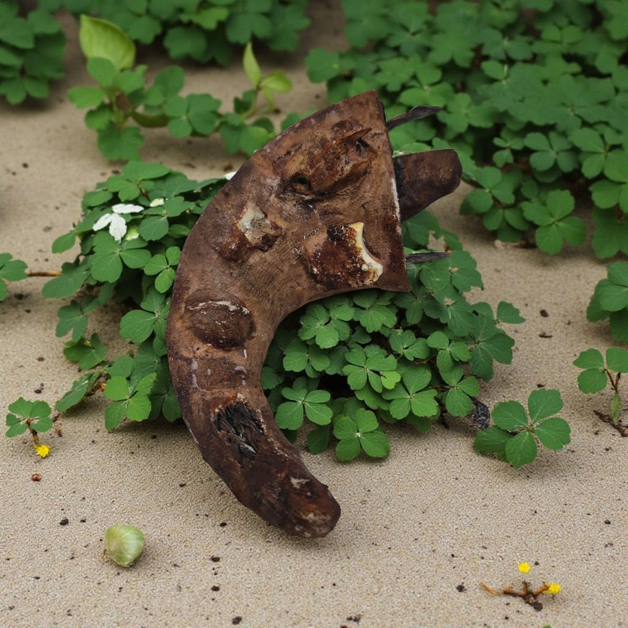 Olugbohun , amuleto africano , secretos del Vodun