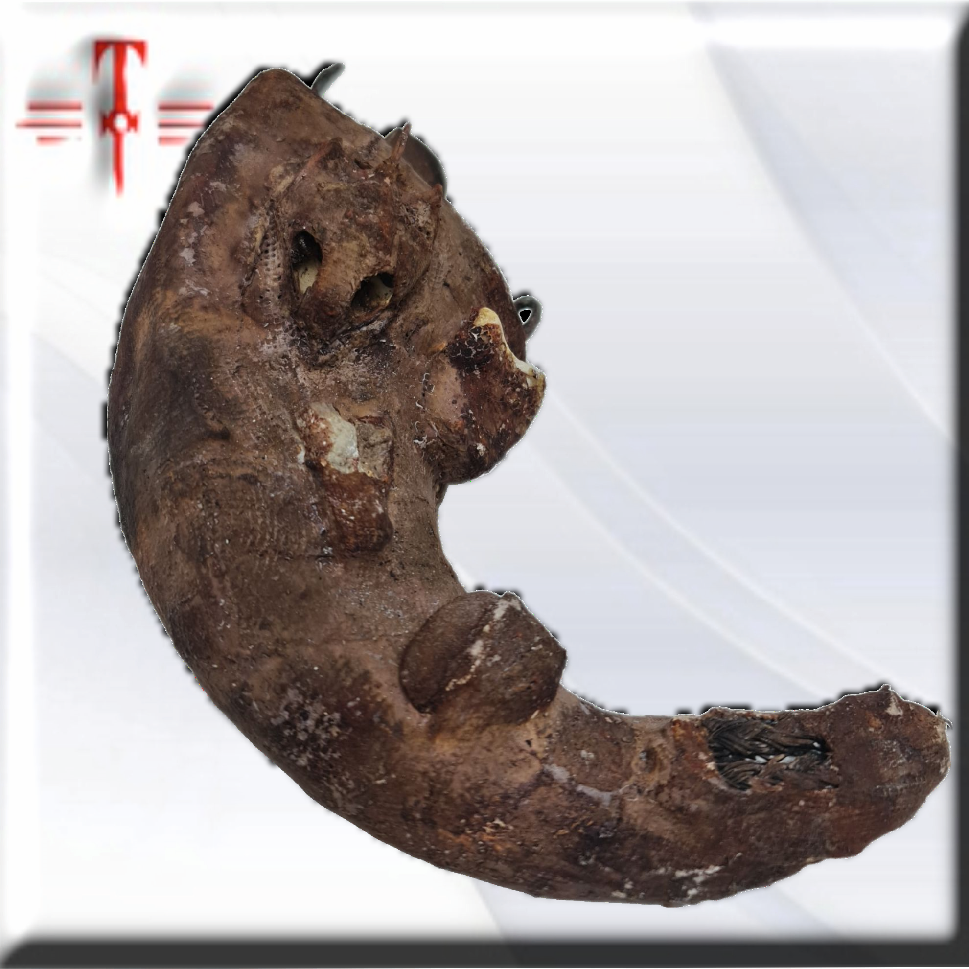 Olugbohun , amuleto africano , secretos del Vodun - Imagen 6