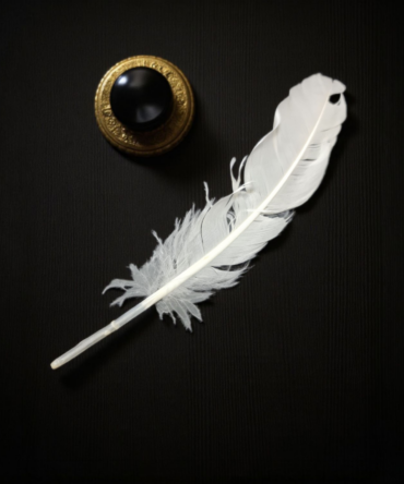 pluma Blanca