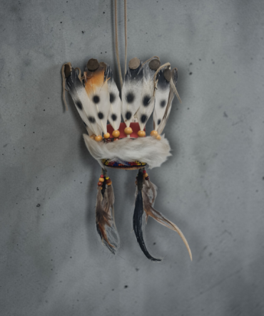 Cabellera india nativa americana